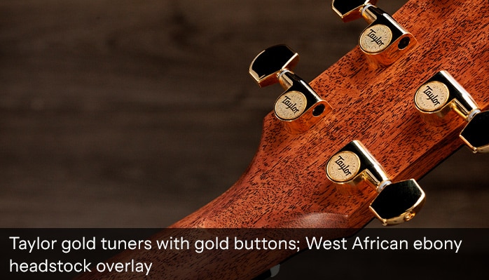Taylor Exclusive Gold Label 710e SE detail.