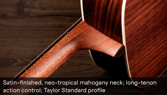 Taylor Exclusive Gold Label 710e SE detail.
