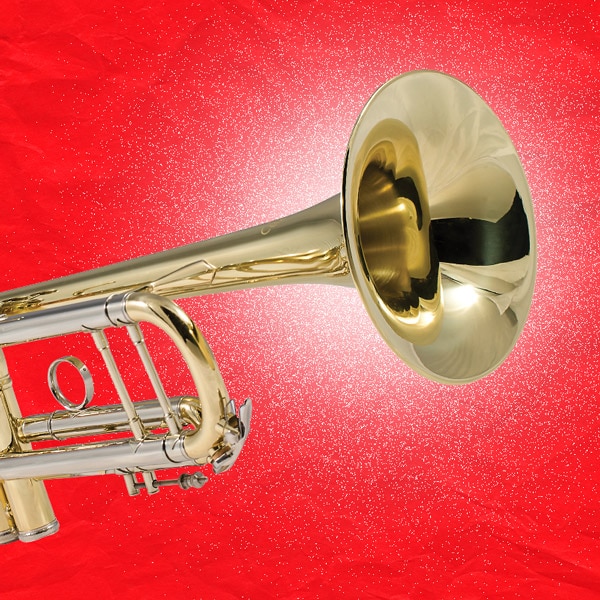 Band or Orchestra Musician
