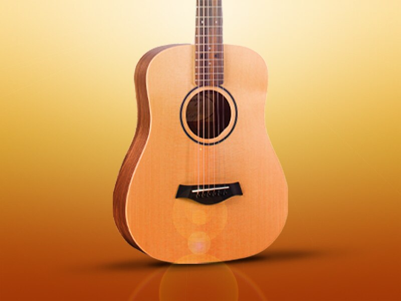 Get a Taylor for As Low As 99 dollars when you buy a 200 D.L.X. or higher model—now thru Aug. 14